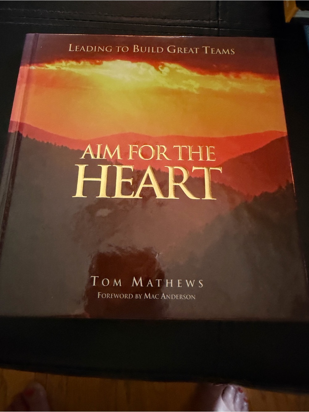 Aim for the Heart Decorative Hardcover Book - Red/Orange Cover